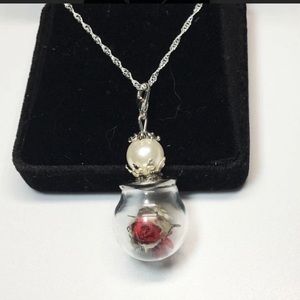 Cute real rose inside a terrarium Necklace